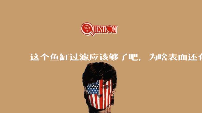 这个鱼缸过滤应该够了吧，为啥表面还有不少泡泡？