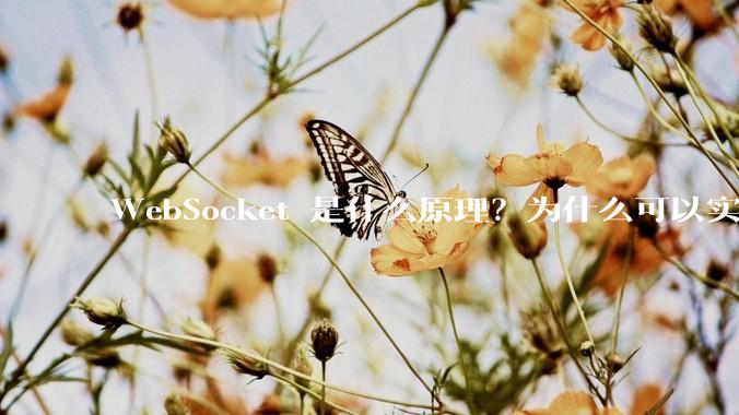 WebSocket 是什么原理？为什么可以实现持久连接？