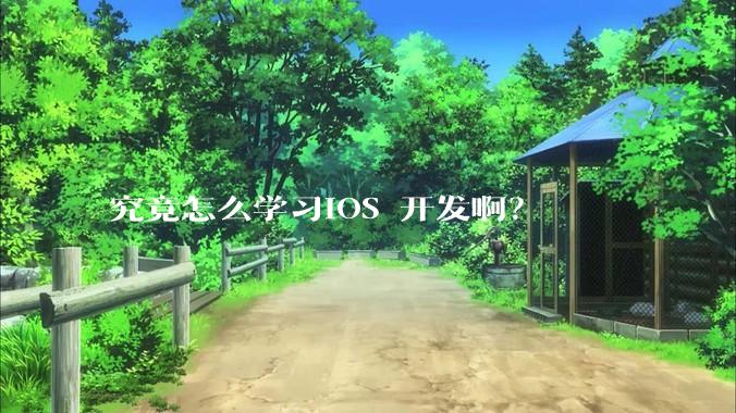 究竟怎么学习IOS 开发啊？