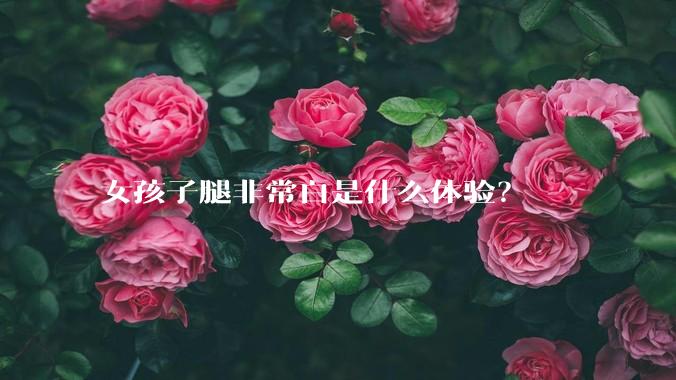 女孩子腿非常白是什么体验？